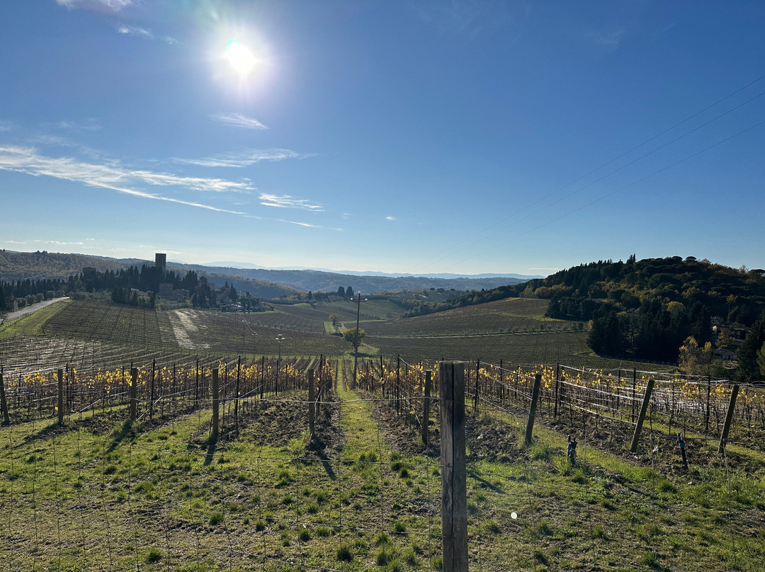 Fattoria Le Fonti-Panzano in Chianti必去景点