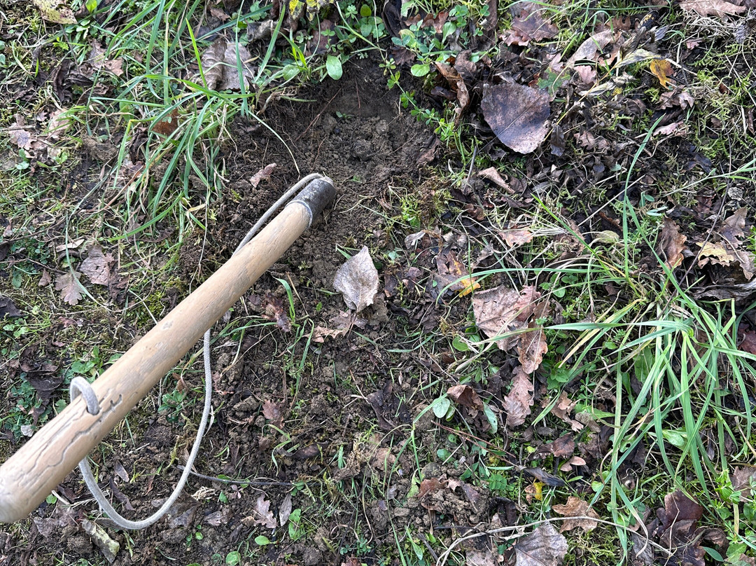 Truffle in Tuscany-圣米尼亚托必去景点