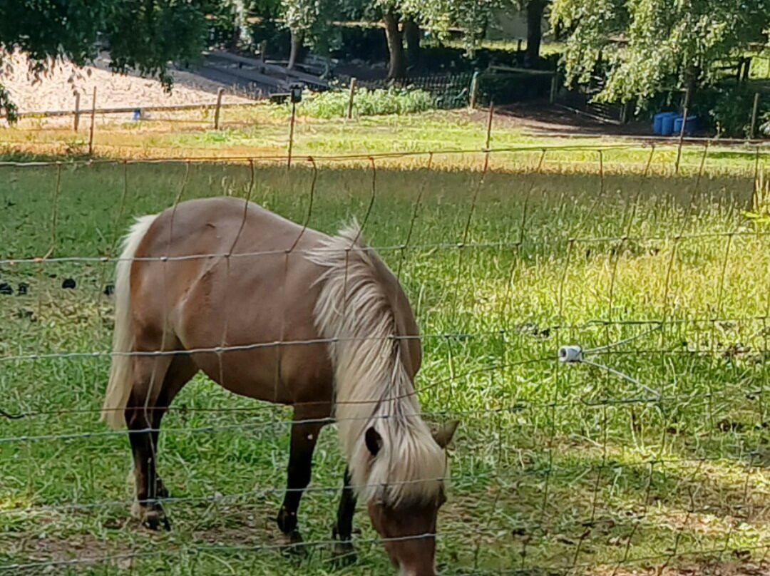 Emerald Ridge Bed & Breakfast主图