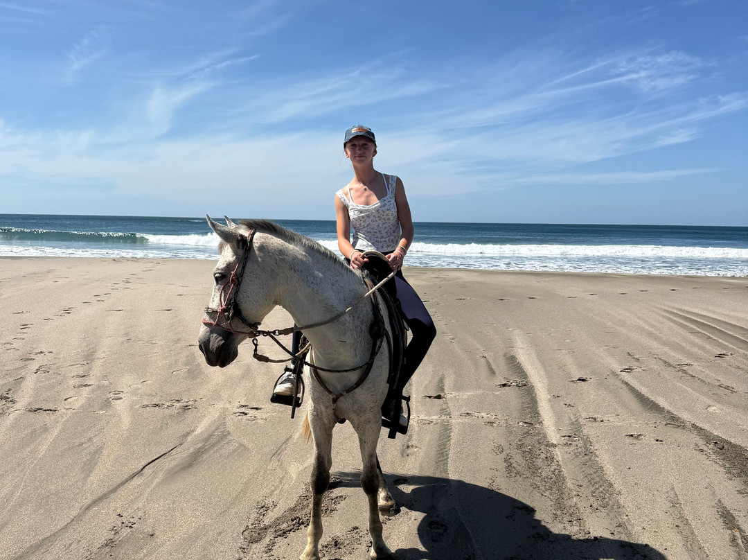 Estero Tours-轰基亚滩必去景点