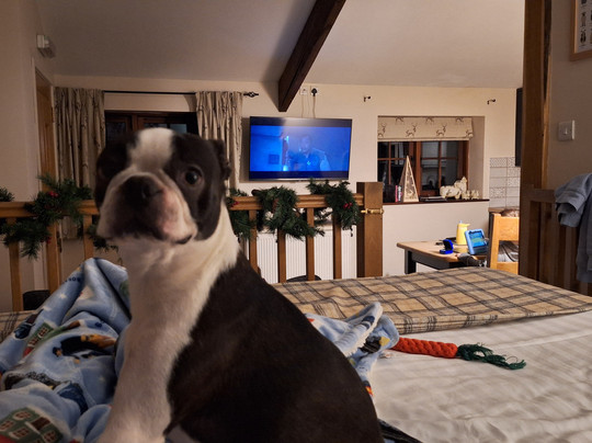 Low Nest Farm Holidays主图