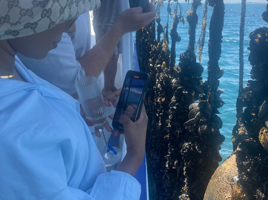 Portarlington Mussel Tours-Portarlington必去景点