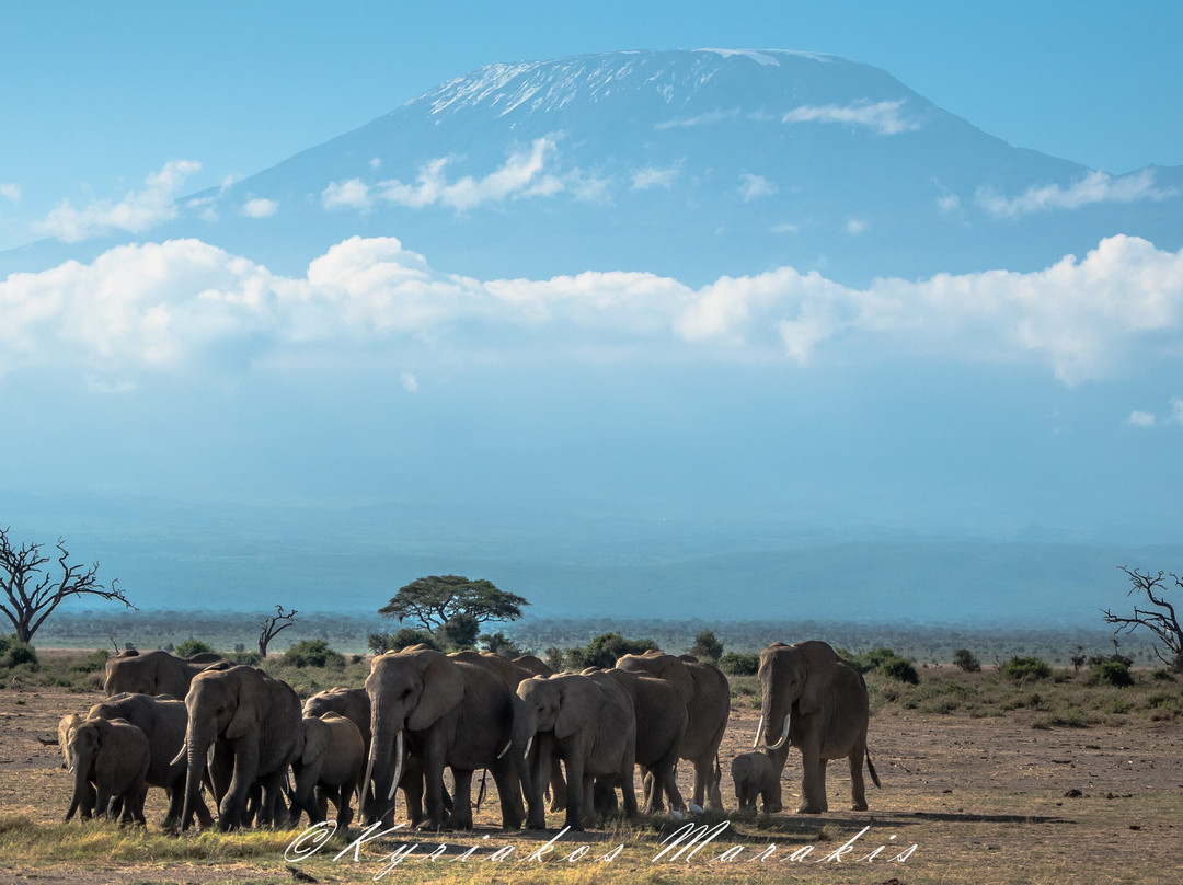 Africa Vision Safaris Tours and Travel-内罗毕必去景点