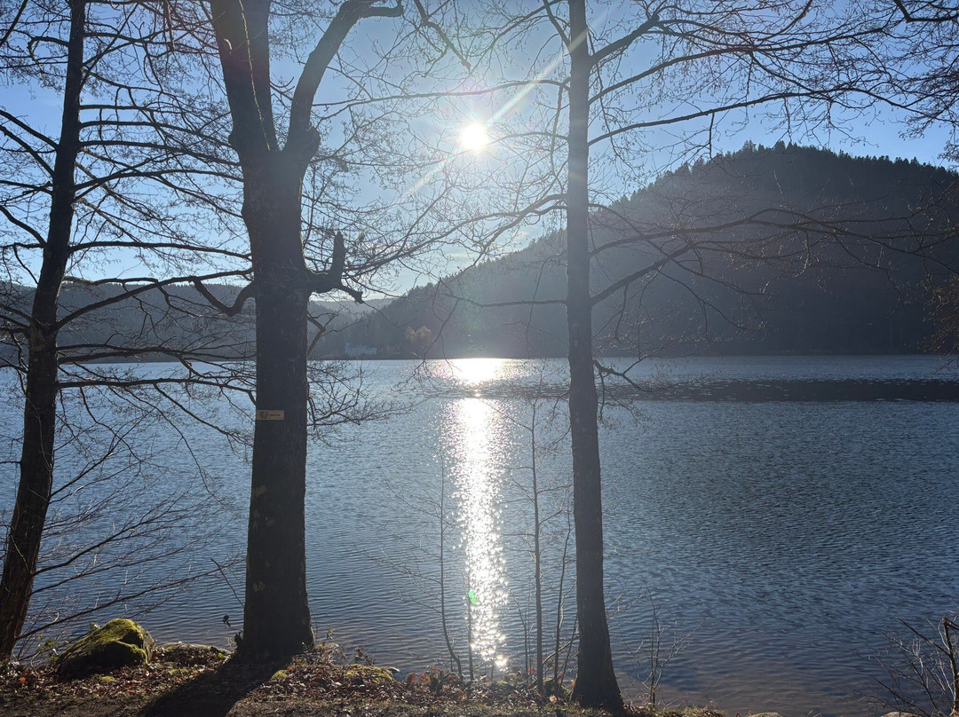 Lac de Gérardmer-热拉尔德梅必去景点