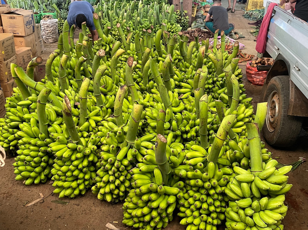 Relax Lanka Tours-尼甘布必去景点