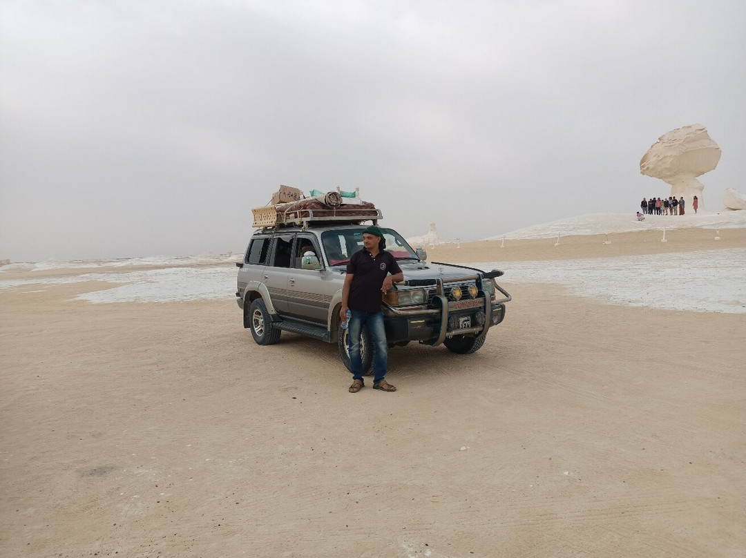 Bahariya oasis