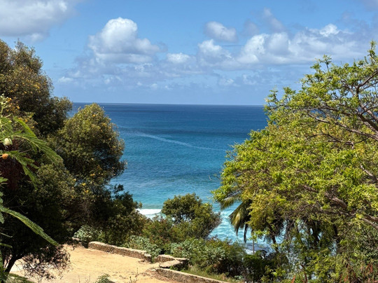 Olhos do Mar-费尔南多-迪诺罗尼亚群岛必去景点