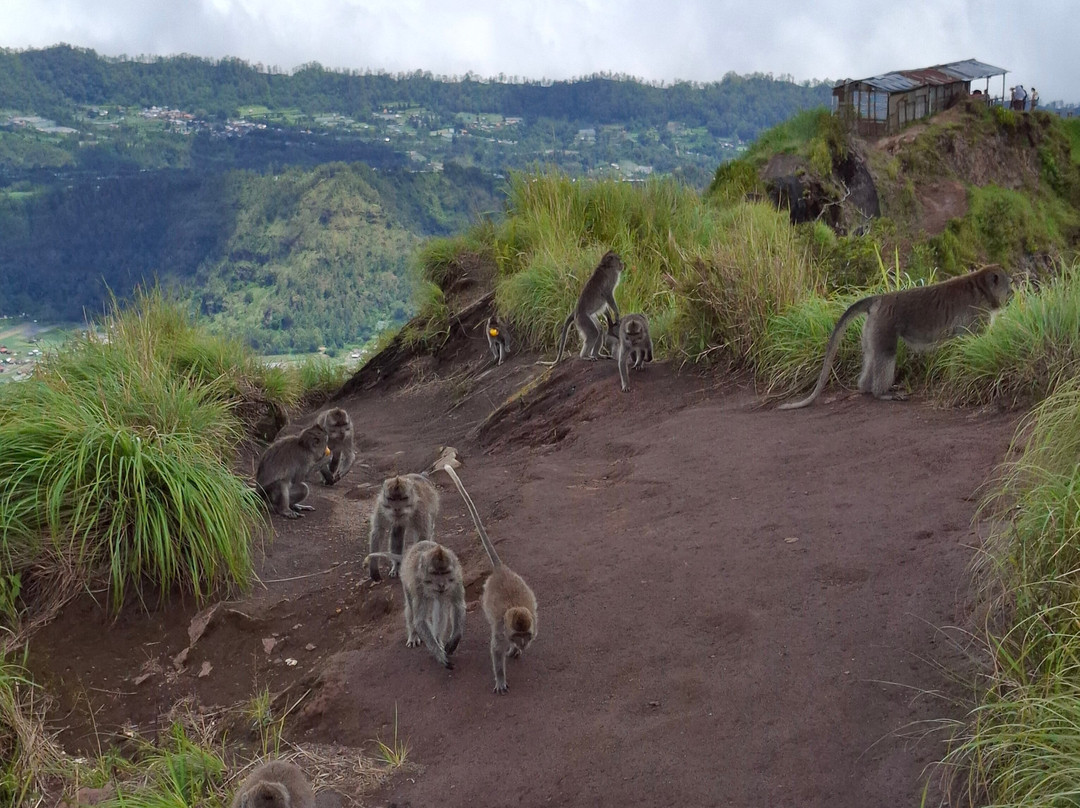 Mount Batur Trekking Guide-德格拉朗必去景点