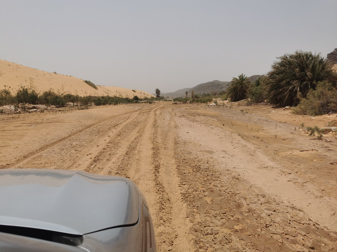 Tours in Mauritania-诺克少必去景点