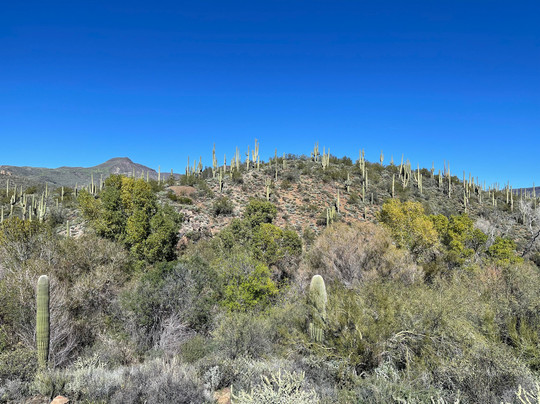 The Dragonfly Trail-Silver City必去景点