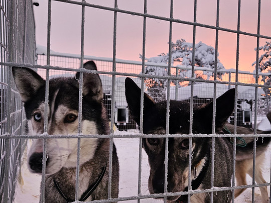 Konijänkkä-Akaslompolo必去景点