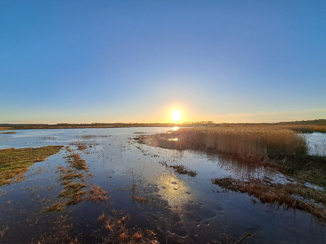 RSPB Minsmere-Westleton必去景点