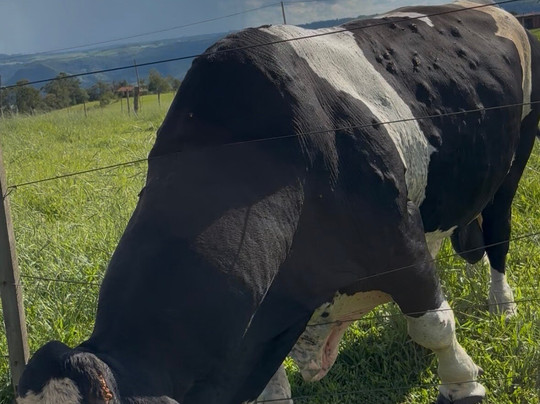 Pedra do Indio-Botucatu必去景点