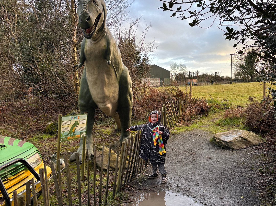 The Ark Open Farm-Newtownards必去景点