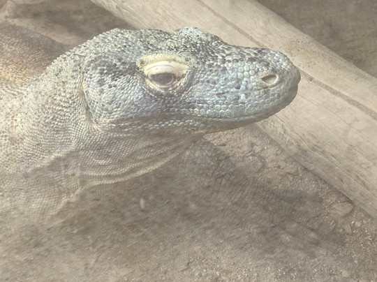 Ballarat Wildlife Park-巴拉瑞特必去景点