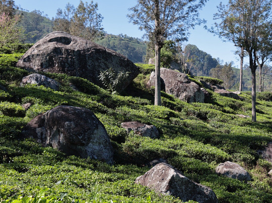 Sivas Sri Lanka Trekking-乌纳瓦图纳必去景点