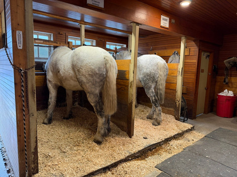 Billings Farm & Museum-伍德斯托克必去景点