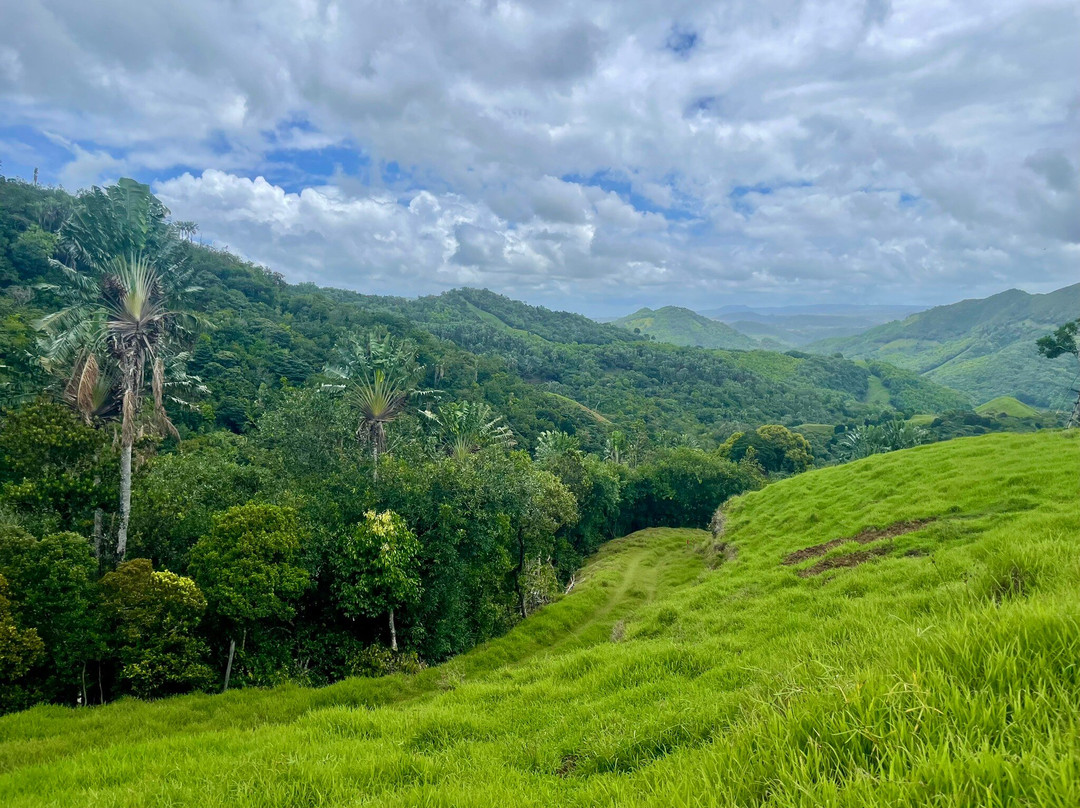 Ferney-马喜埔必去景点