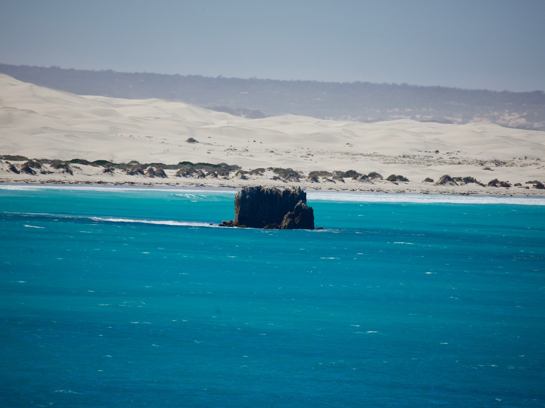Head of Bight-Ceduna必去景点