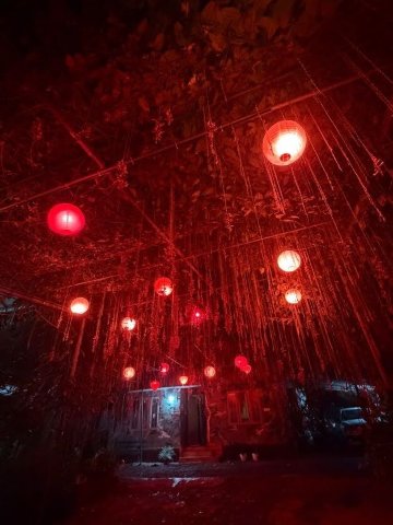 Wind Valley Farmstay-酒店景观