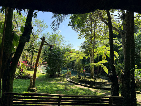 Balay Buhay Sa Uma Bee Farm-Bulusan必去景点