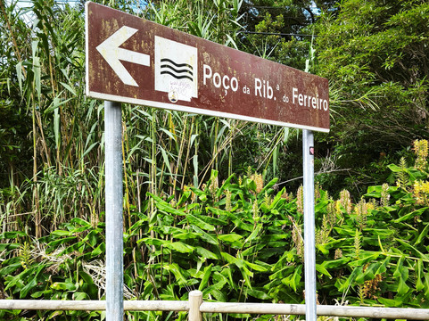 Poco da Ribeira do Ferreiro-Flores必去景点