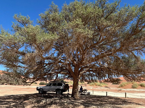 Africa's Best Adventures-开普敦必去景点
