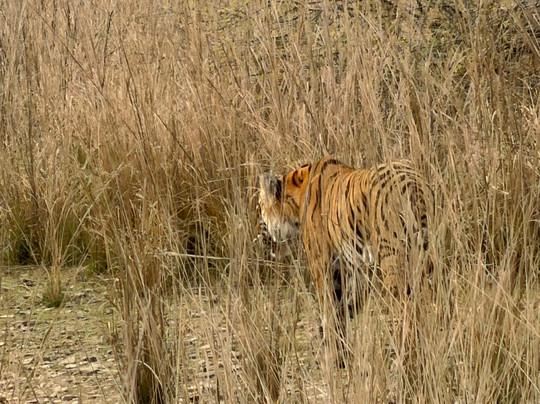 Cycling in India-新德里必去景点