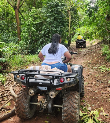 Pineapple Bay Resort主图