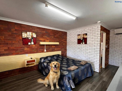 Glencoe酒店住宿-Glen Innes Lodge Motel