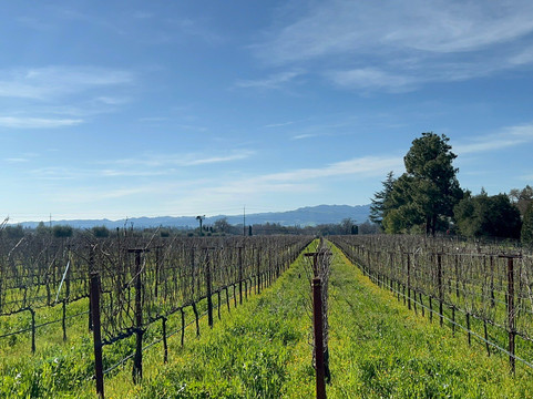 Hagafen Cellars-纳帕必去景点