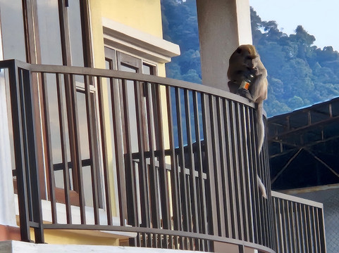 安君甘海滩度假村主图