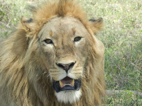 Zara Tanzania Adventures-莫西必去景点