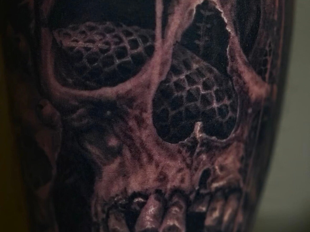 TAG Studio-索尔塔什必去景点