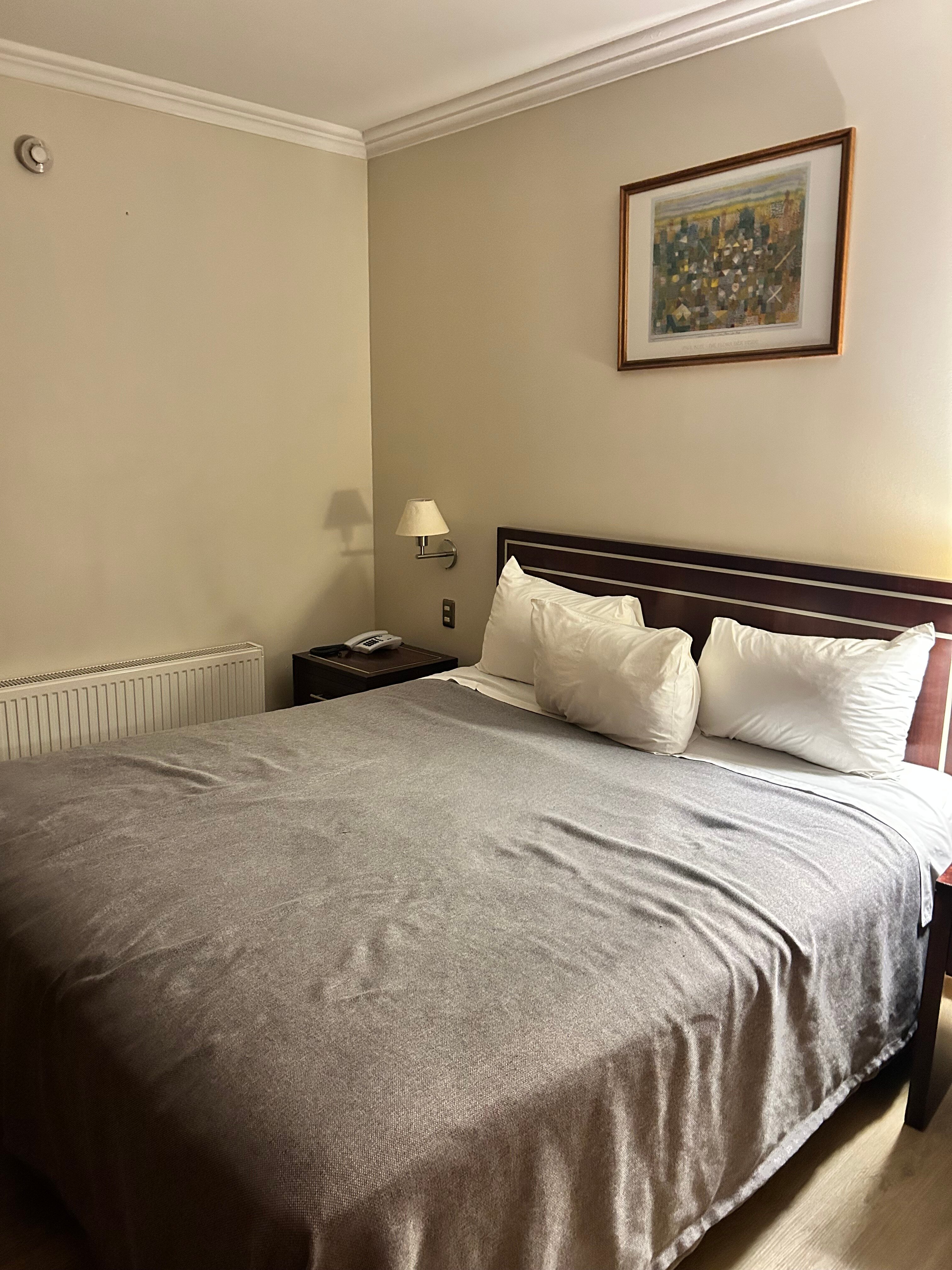 迭戈阿尔马格罗瓦尔迪维亚酒店-客卧