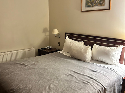 迭戈阿尔马格罗瓦尔迪维亚酒店主图