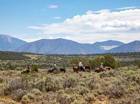 Rio Grande Stables-Questa必去景点