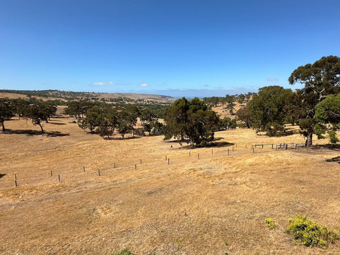 Seascape Retreat主图