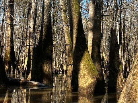 Carolina Outdoor Adventures-厄莫必去景点