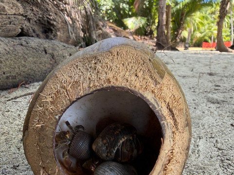 Premier Coiba Tours-Santa Catalina必去景点