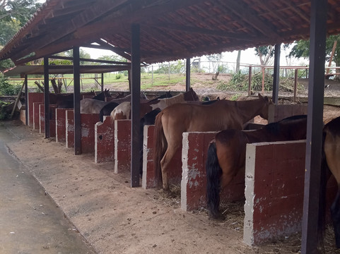 拉各斯塞特农场酒店主图