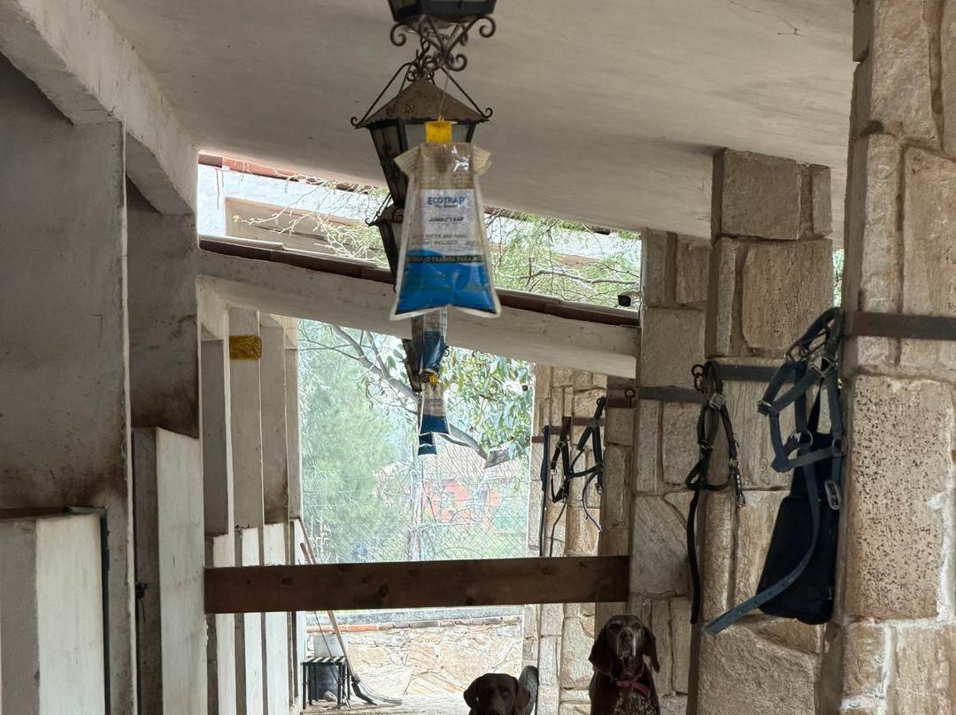 Cabalgando En Tequis-Tequisquiapan必去景点