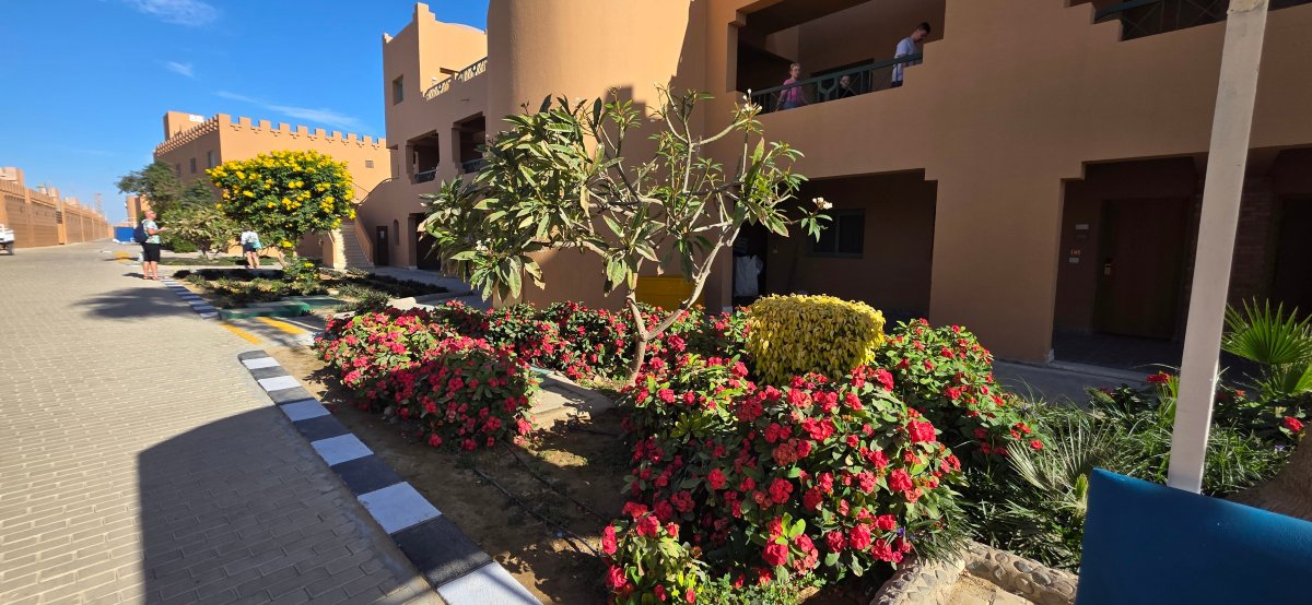 阿卡希亚瑞士度假村-浴室