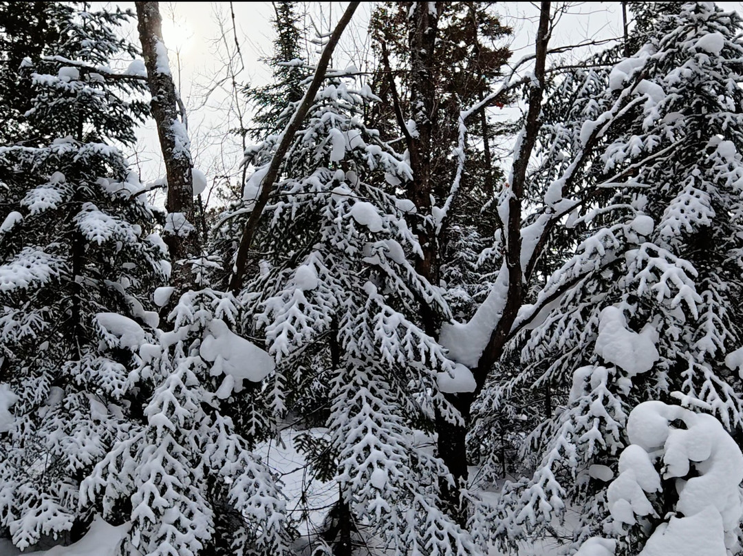 Parc regional de la Foret Ouareau-Notre-Dame-de-la-Merci必去景点