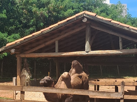 Fazendinha Zoomix-Franca必去景点