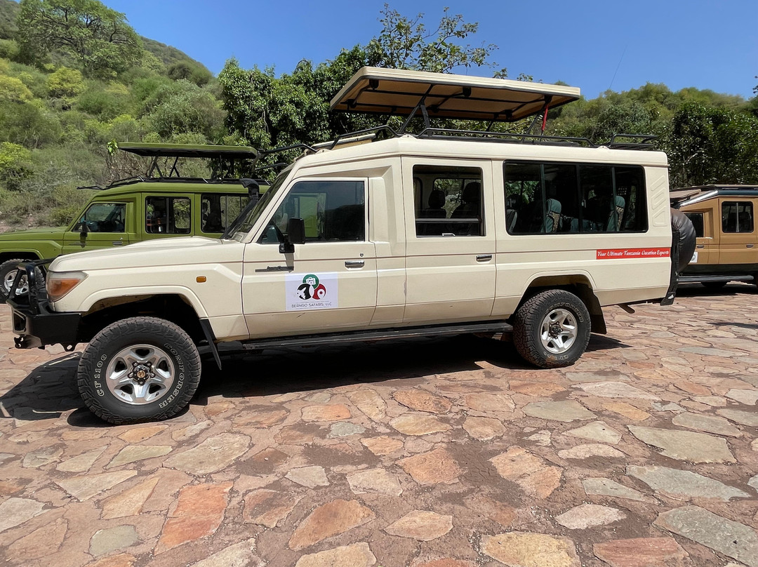 Berngo Safaris, Llc-Cedar Springs必去景点