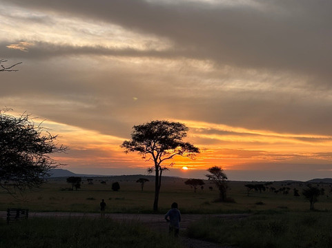 Suricata Safaris-阿鲁沙必去景点