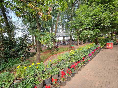 Mapro Garden-马哈巴勒什瓦必去景点