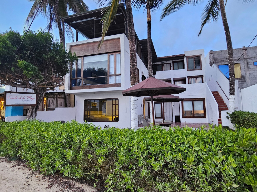 海边村舍酒店主图