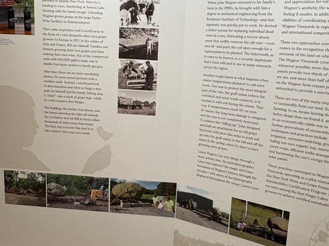 Wagner Vineyards-Lodi必去景点